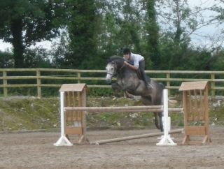 Cursos de equitacion